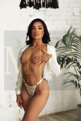 MIRA TOP-MODEL