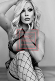 TS-ALEXA #2