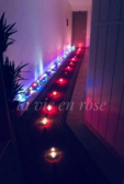 La Vie en Rose #3