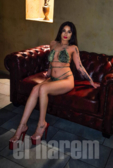 Ema 21 neu #3